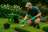 Best Landscaping and Garden Maintenance Services in Dubai