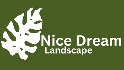 Indoor & Outdoor Plants UAE