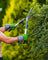 Pruning & Grooming - Indoor Plants Maintenance Services in Dubai