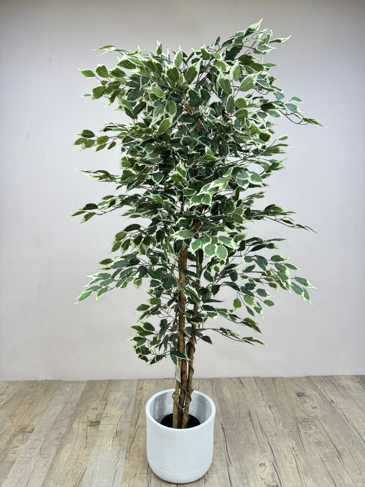 Artificial Ficus Plant