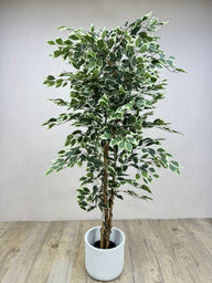 Artificial Ficus Tree Dubai | شجرة فيكس صناعية | Faux UAE