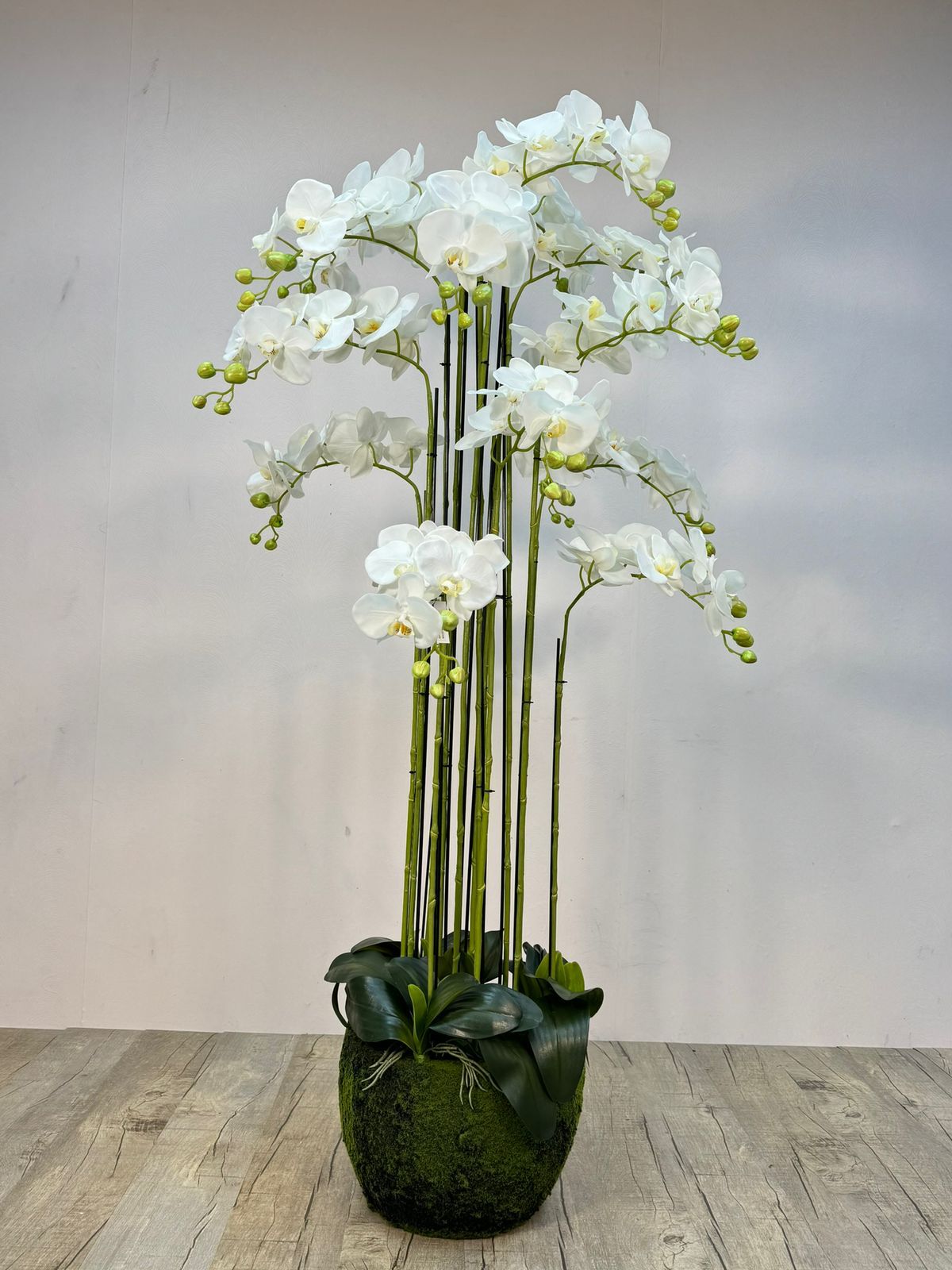 Mornington Artificial Phalaenopsis orchid plant