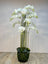 Mornington Artificial Phalaenopsis orchid plant