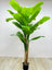 Buy Artificial Banana Plant | Best Landscaping Services in Dubai
