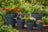 Fiber Clay Pots - Kinder