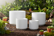 Short Planter Dubai — White Lined Low Round Bowl Pot UAE — أصيص منخفض