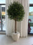 Artificial Olive Tree 2.2cm